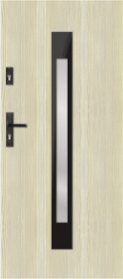 G - moderne verglaste Außentür, Verglasung S81