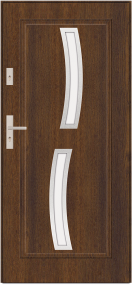 T21 - drzwi zewnętrzne przeszklone nowoczesne, przeszklenie S70